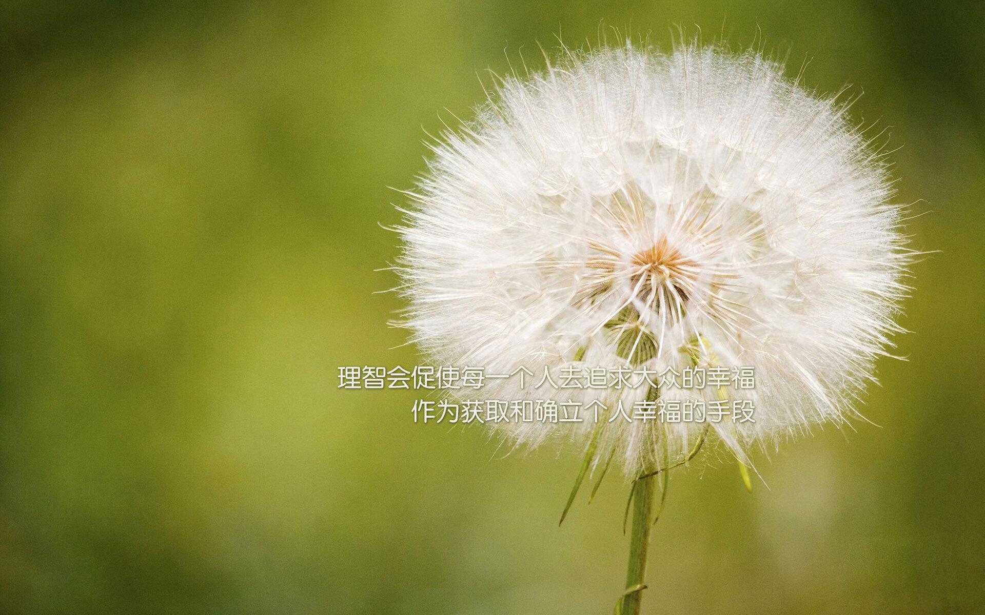 _火箭逐步复苏，季后赛冲刺在即_，火箭队季后赛视频录像回放