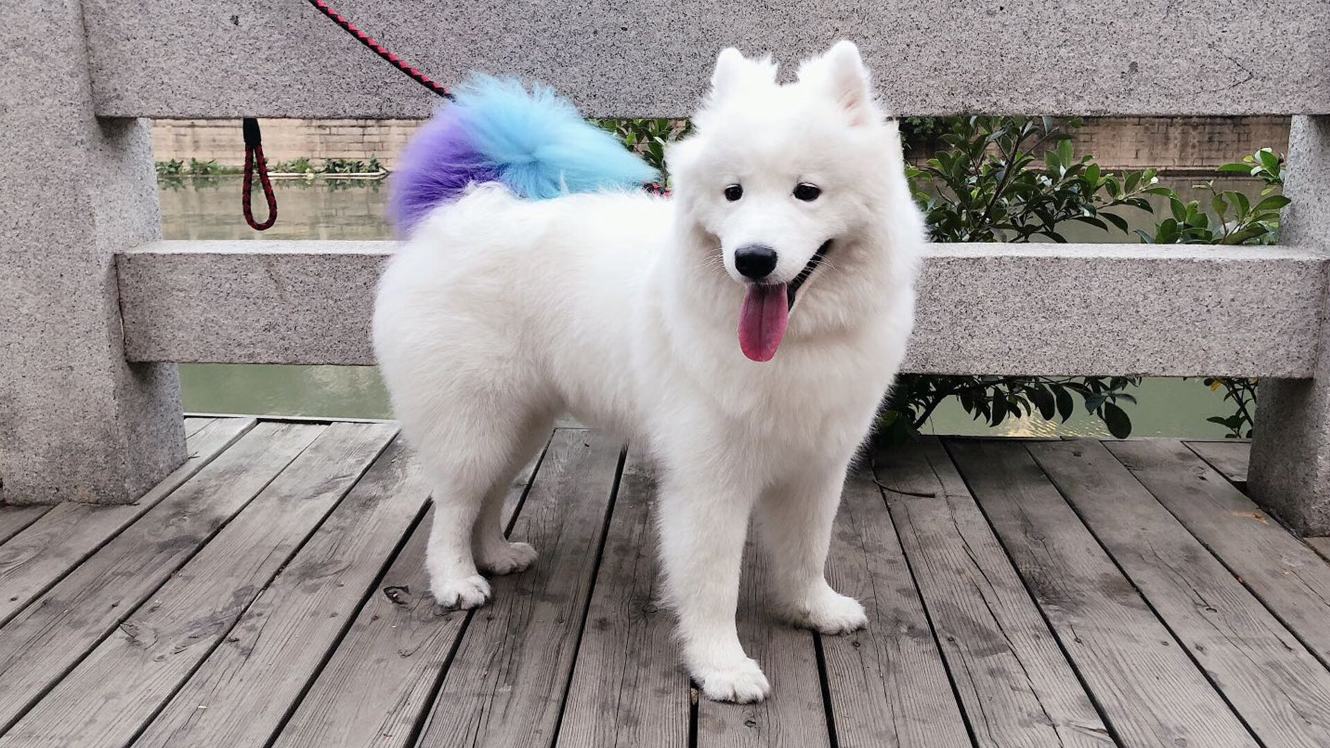 法国队3场比赛打进1球,创下奥运最差纪录,法国队 奥运会