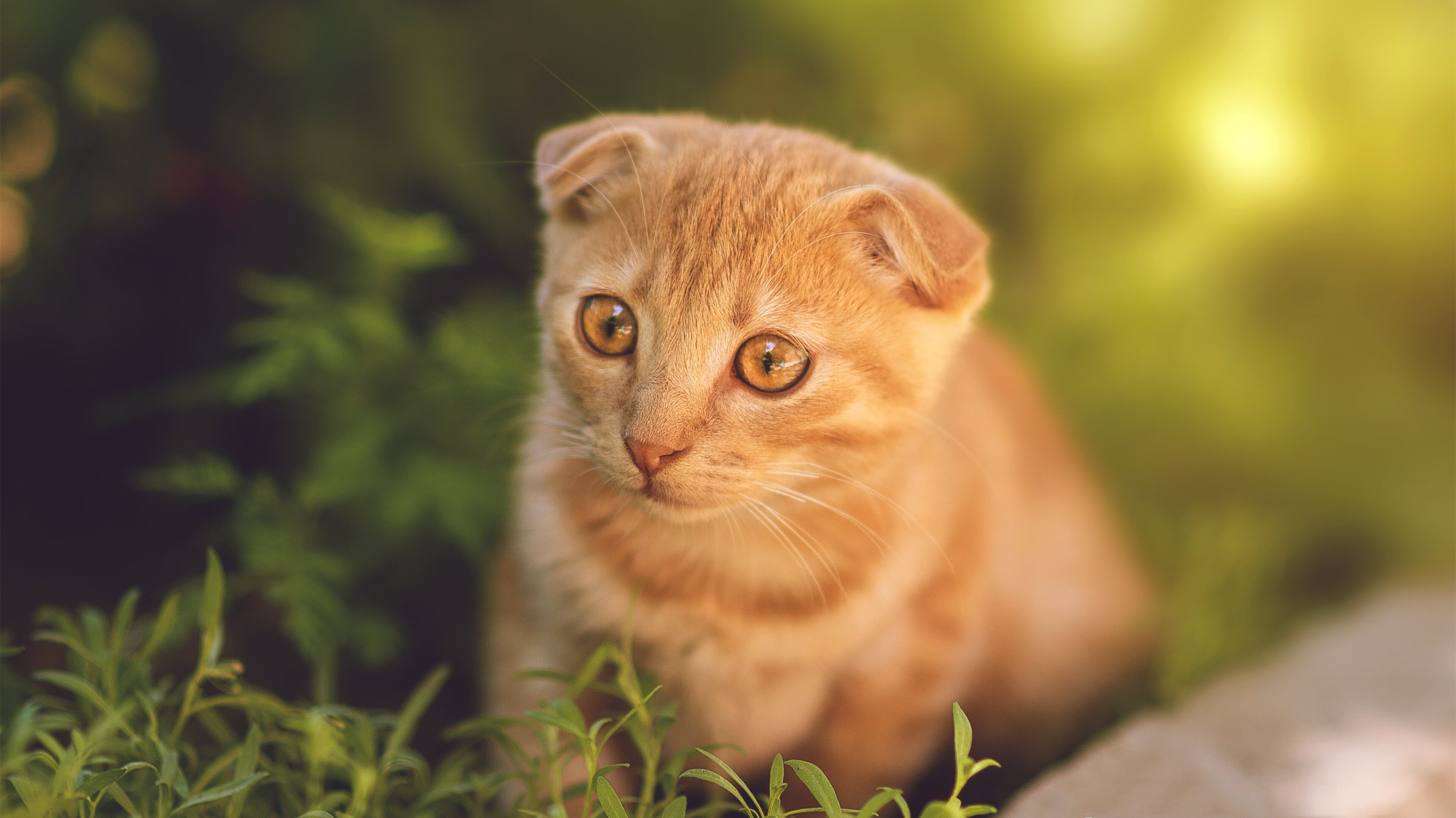 B体育中国内陆官方网站-训练课程揭秘：青训营紧跟足球潮流，青训训练营是什么