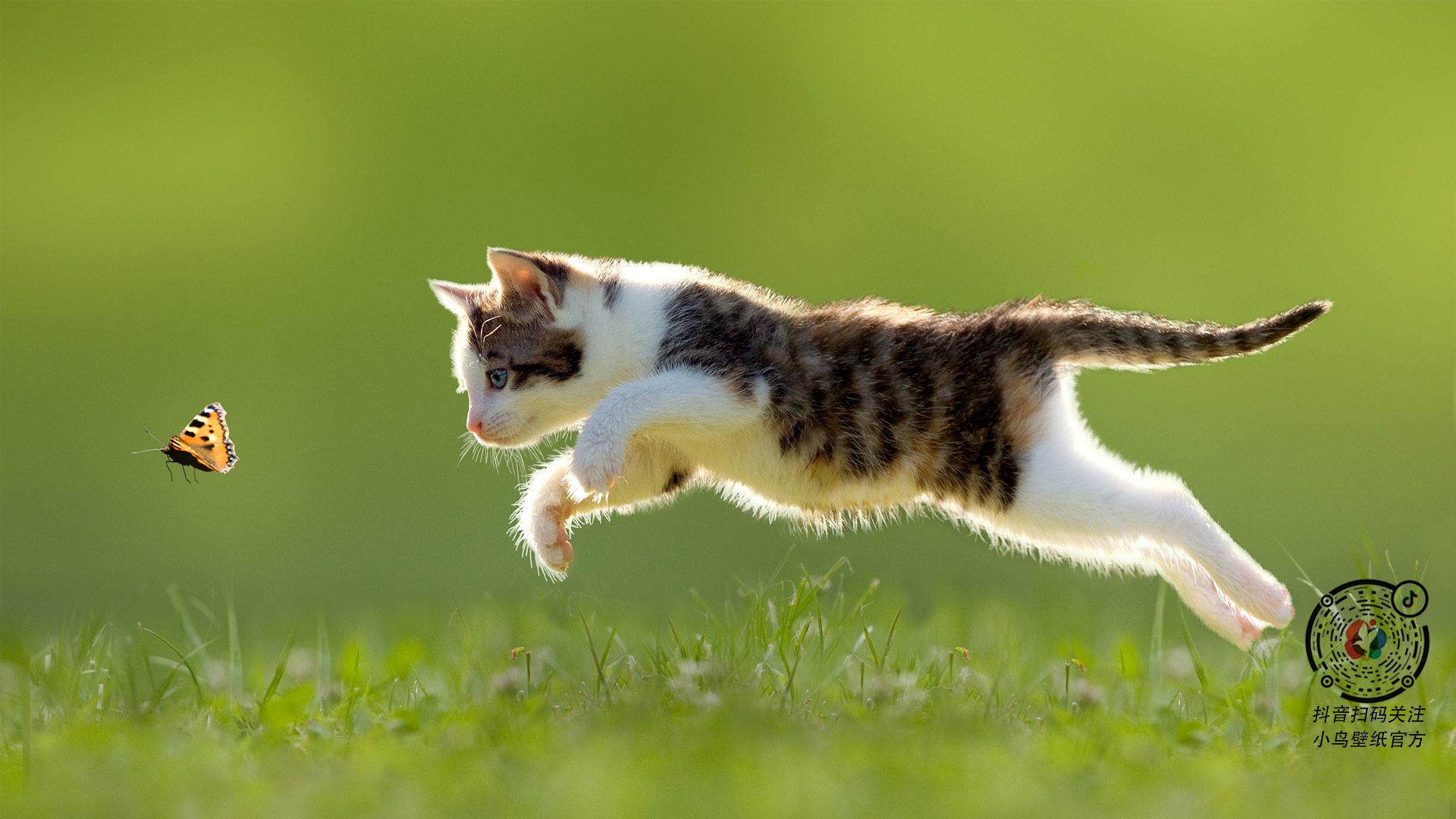 转会传闻：哪个球队今年欧冠买入引人关注？，今年的欧冠在哪里踢得