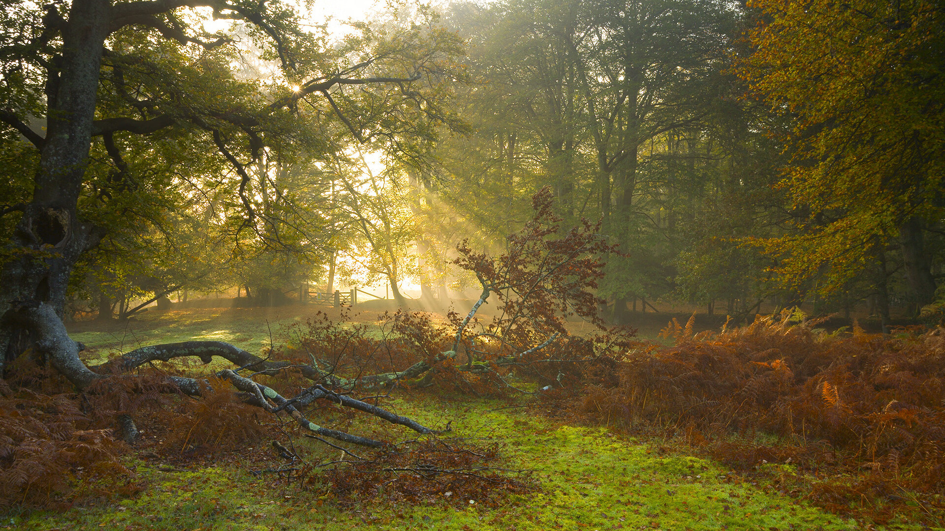 B体育-北美选手培养机制再评估，北美赛区叫什么