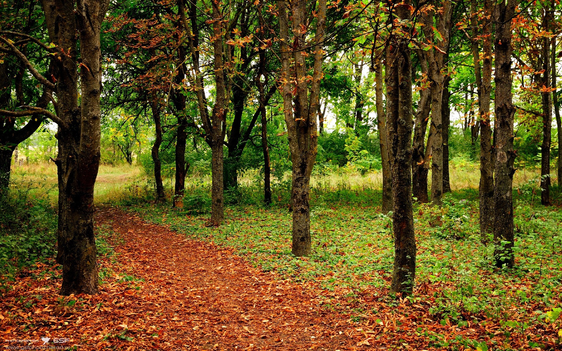 b体育电竞-波尔多后卫神勇抢断，助球队客场获胜，波尔多前锋