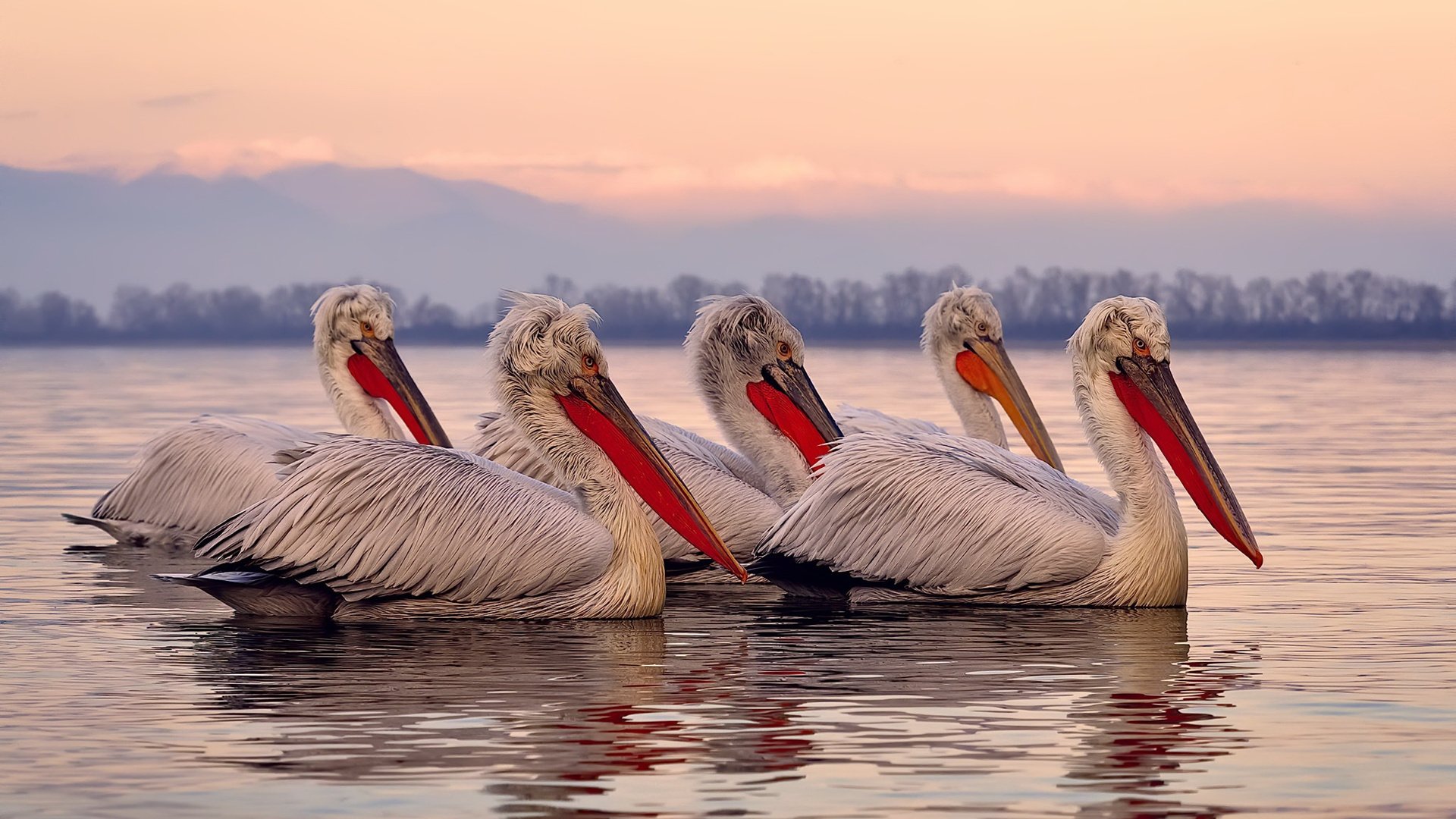 电竞职业选手训练强度控制及运动康复结合方法，电竞选手一般训练多长时间