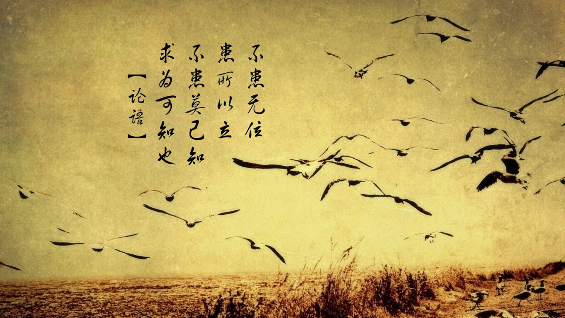 5大联赛领头羊谁能持续领跑?最新积分榜曝光,2021最新五大联赛积分