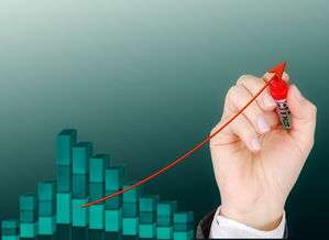 B体育(中国)官方网站-中国篮球后卫技术细节提升策略研究，篮球后卫基本功