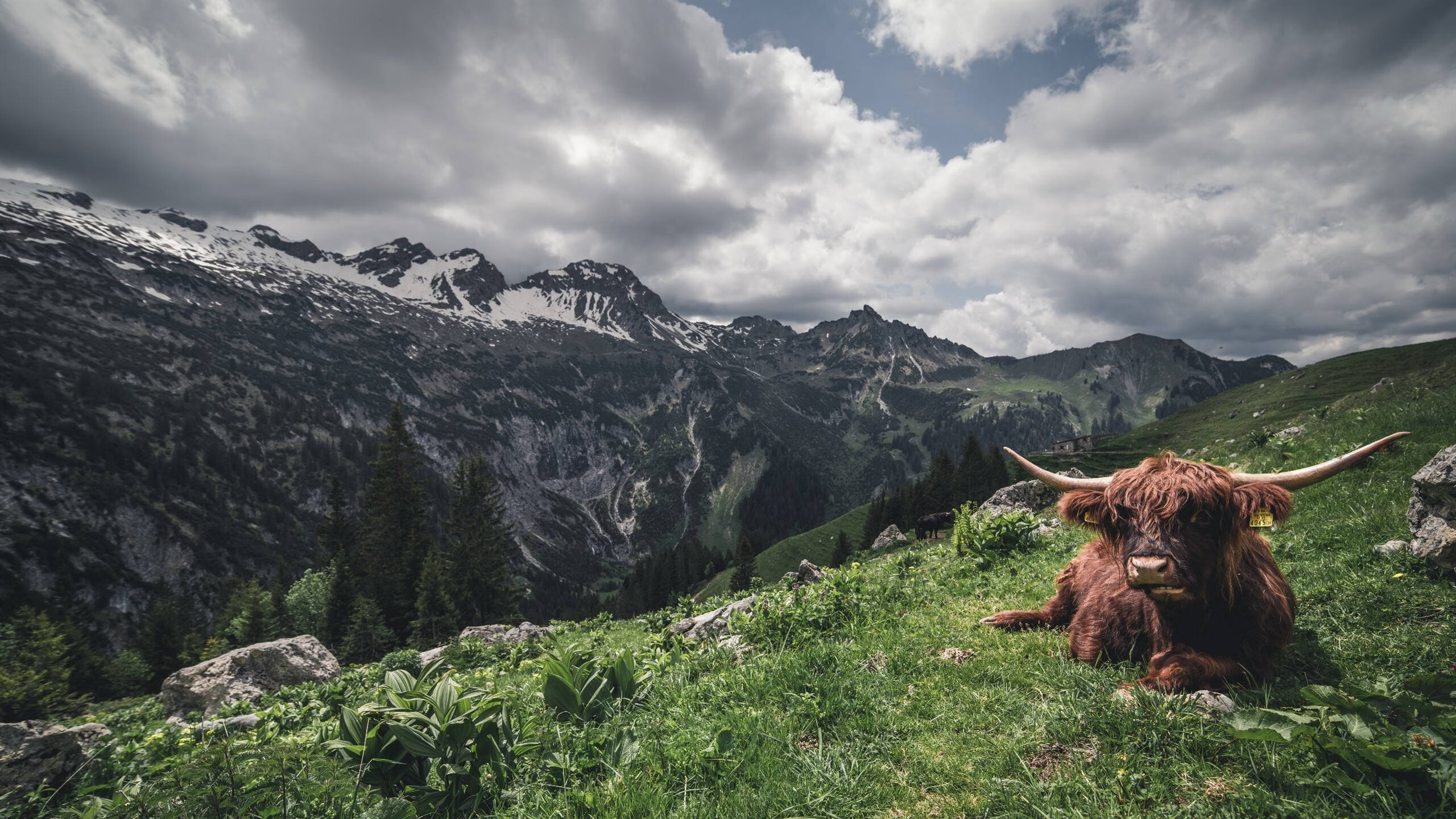 中超球队控场失误分布图解，中超控球最好的球队