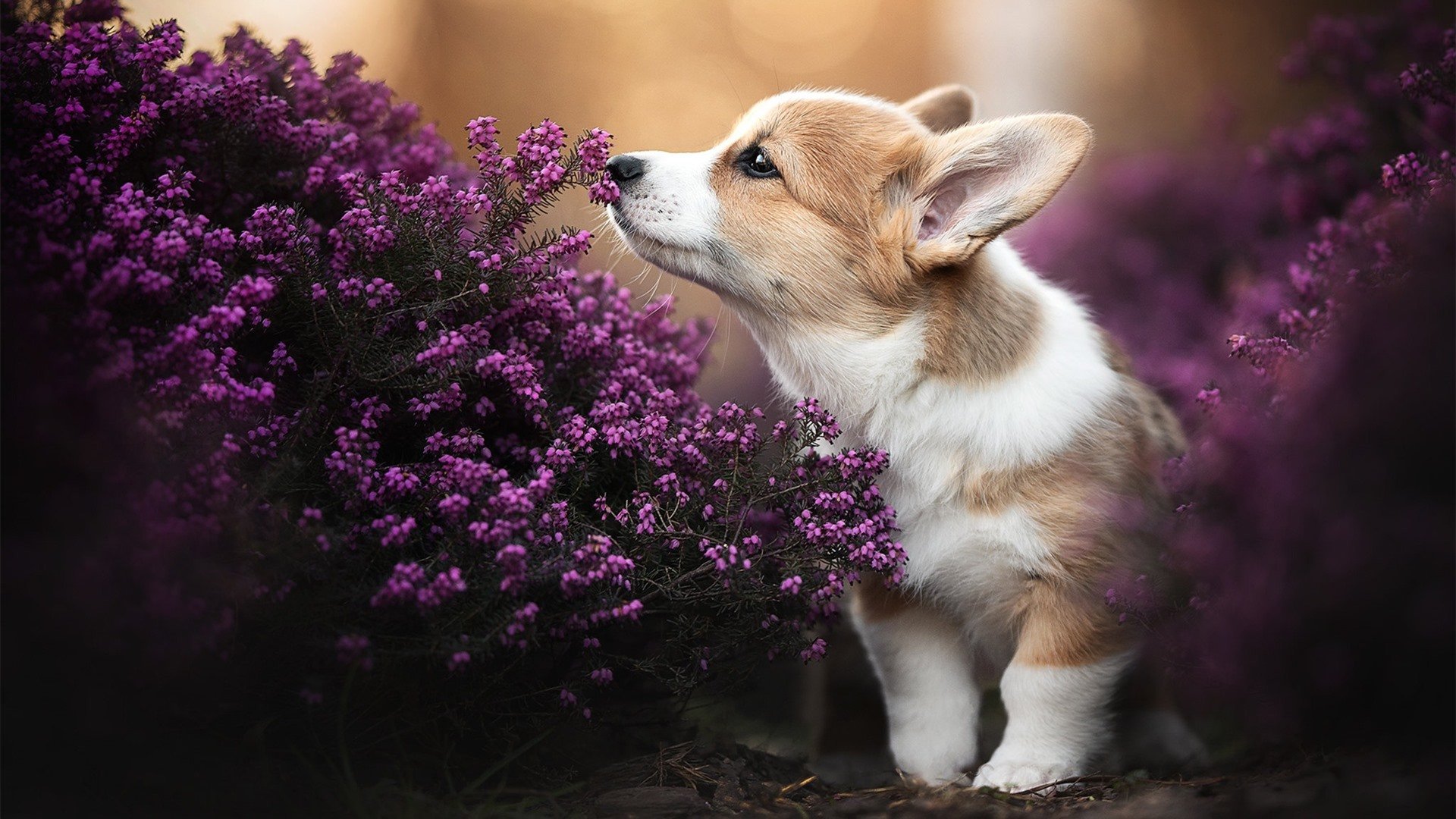 体育课教学质量评估模型构建与实证分析,体育课堂教学质量评价制度