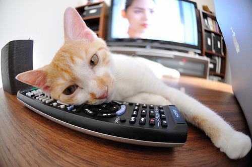 体育新闻中心发布体育新闻传播伦理指导原则，新闻传播伦理规范的主要内容