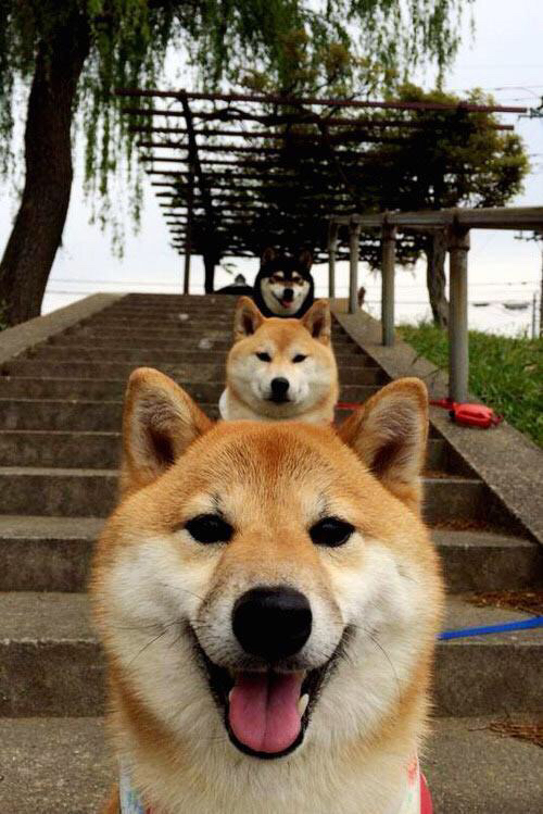 b体育直播-博洛尼亚高位回抢打乱节奏展开，博洛尼亚首发