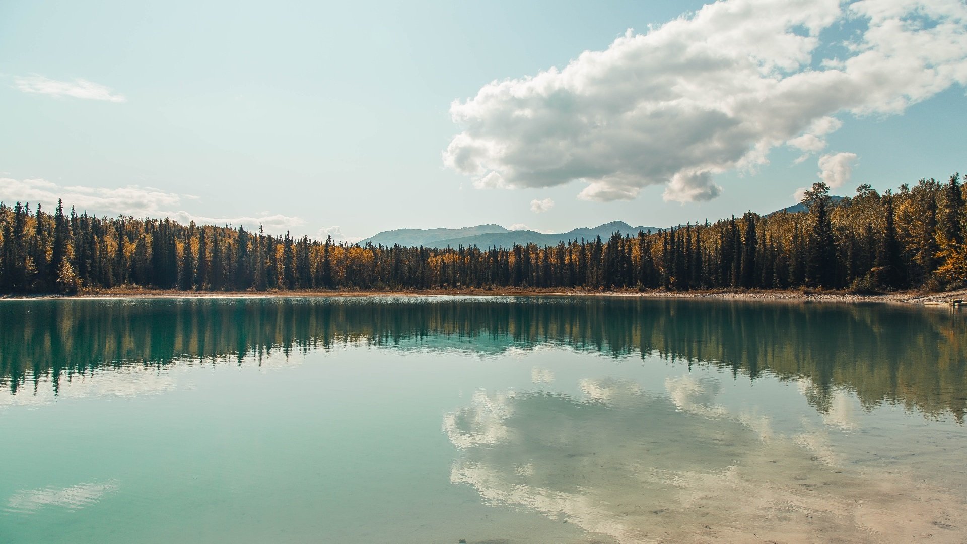 b体育在线平台-奥运备战团队建设日趋科学，奥运会备战办公室是什么单位
