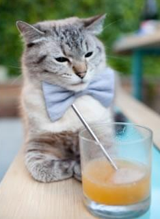 守转攻阶段是否是五大联赛战术创新最集中的部分,守转攻三对三有哪些训练方法