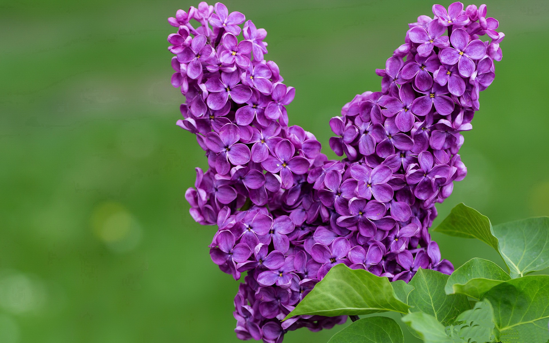 B体育(中国)官方网站-德国队2024年在混合团体世界杯中的技术突破，德国队世界杯小组赛