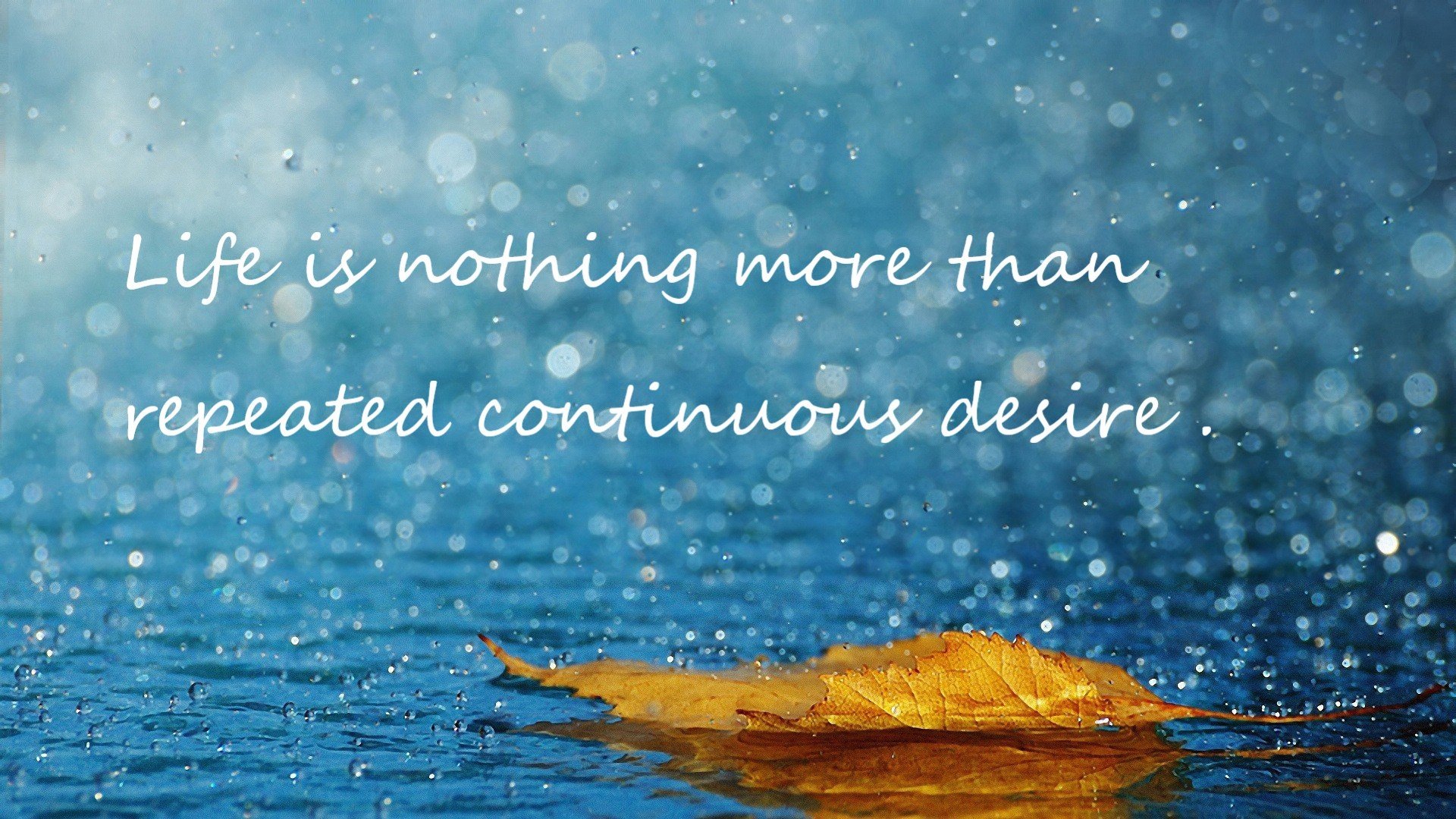 联盟中最擅长节奏压制的防守组合是谁，联盟最强防守