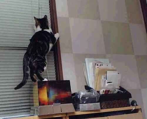 转换节奏中球员如何快速识别对位防线,球员对位数据