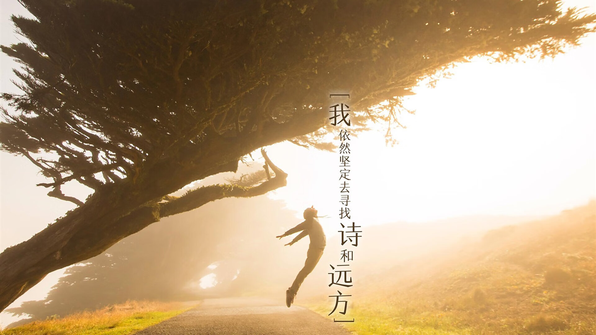 B体育在线登录入口-全国足球青训计划全面启动，中国足球青训体系是什么