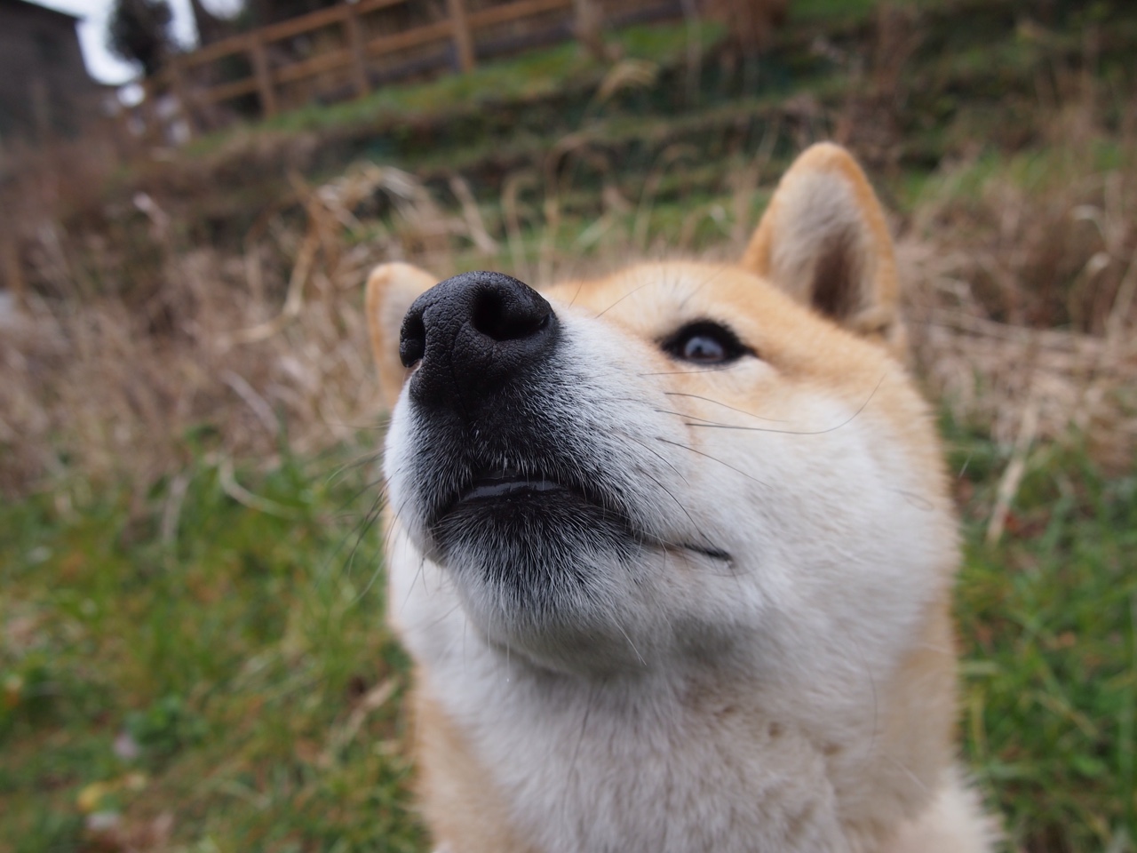 女子国家队战术分析师参与制定比赛预案,女子战队百科
