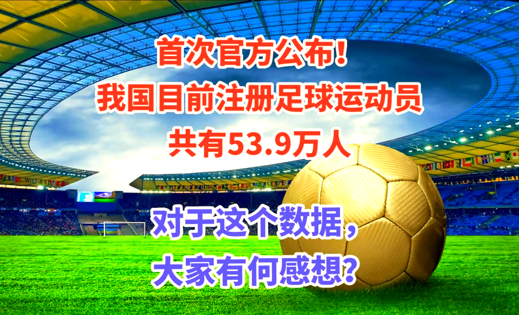 B体育APP:中国足球场地设施的建设与利用效率