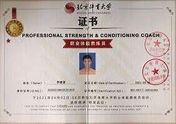 B体育官网：中国篮球教练员培训体系完善，提升执教能力的简单介绍